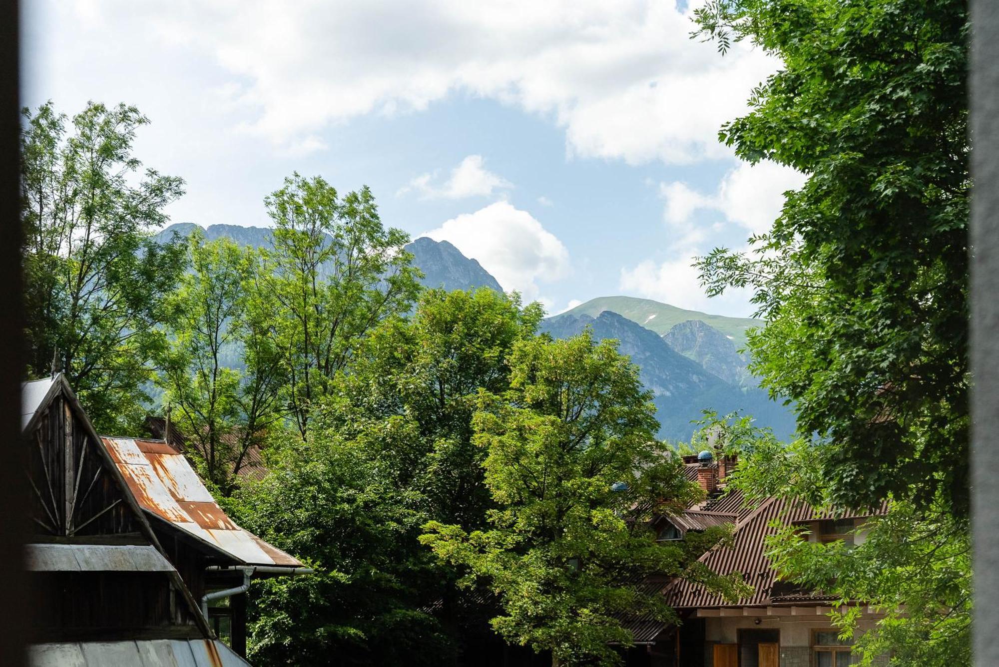 Villa Monte Zakopane Exterior foto